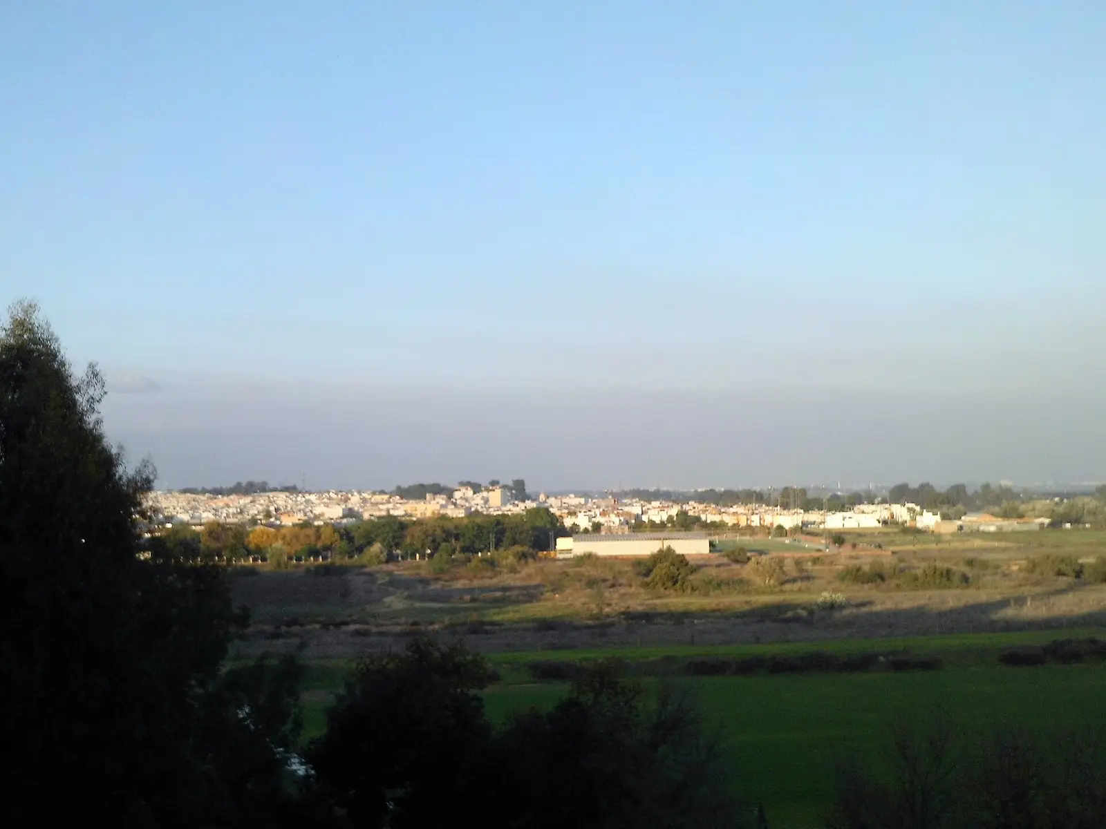 Vista lejana de Coria del Río desde la otra orilla: caserío blanco bajo en el horizonte, arboleda y campos verdes en primer plano