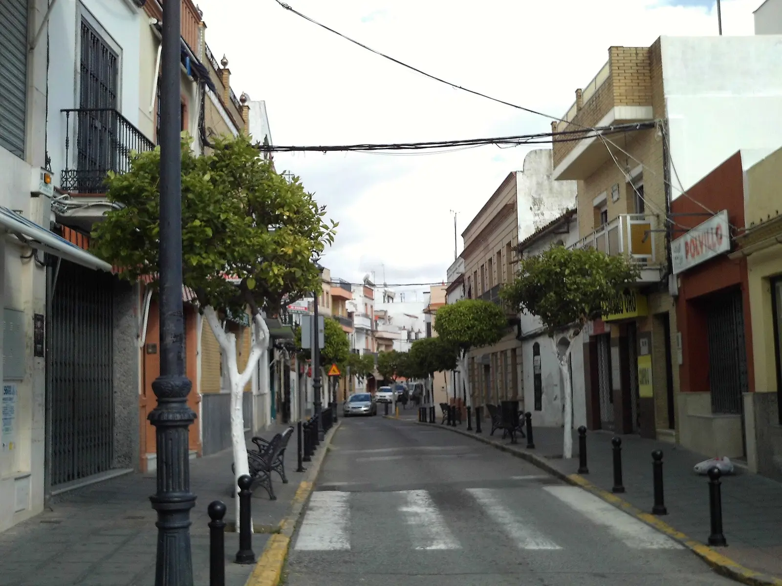 Calle Carretero de Coria del Río con naranjos de tronco encalado, bolardos negros y casas de dos y tres plantas con rejas y balcones