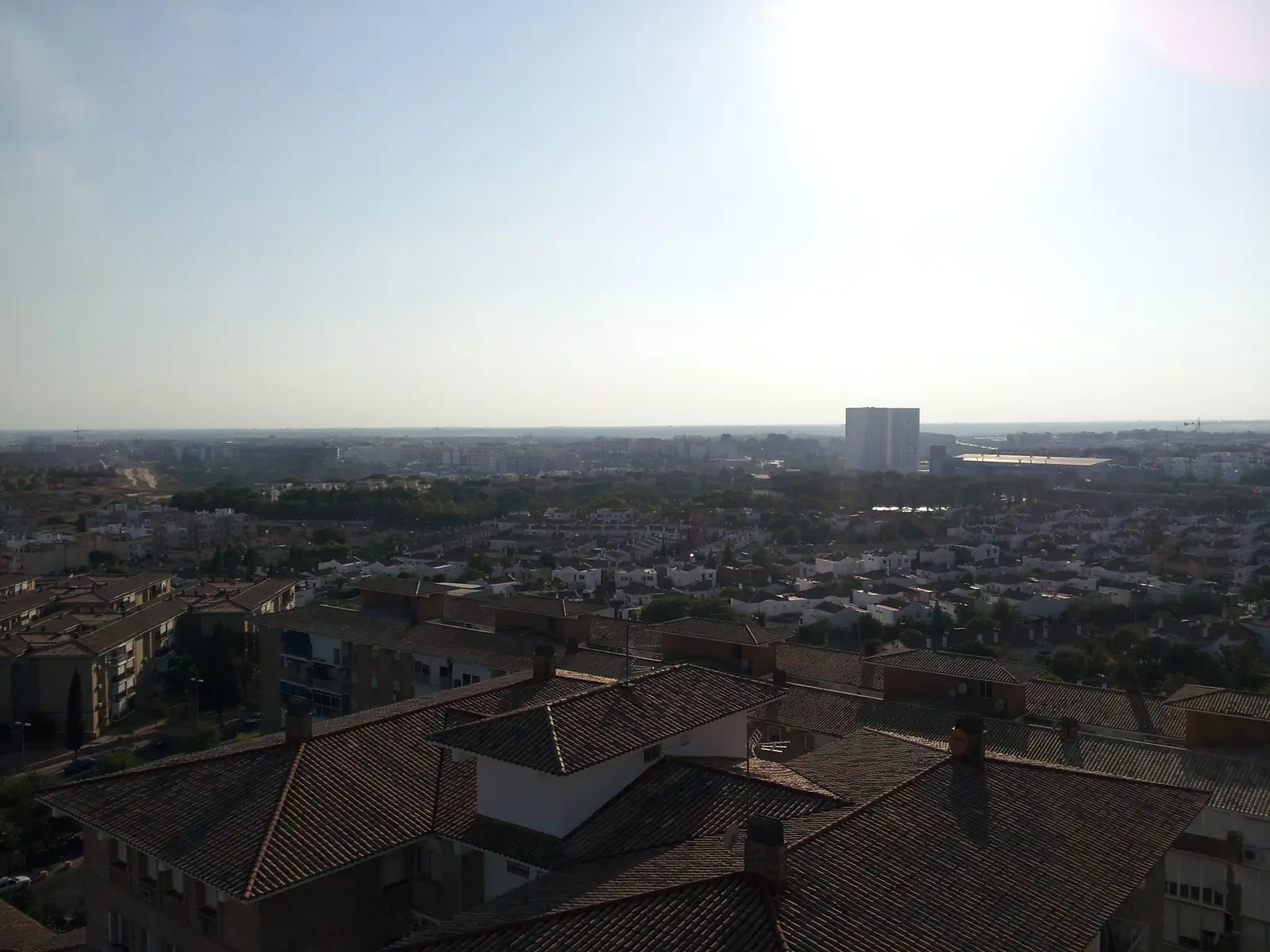 Tejados de teja de bloques bajos en primer plano y, detrás, hileras de casas adosadas blancas con arbolado y un edificio alto al fondo, a contraluz